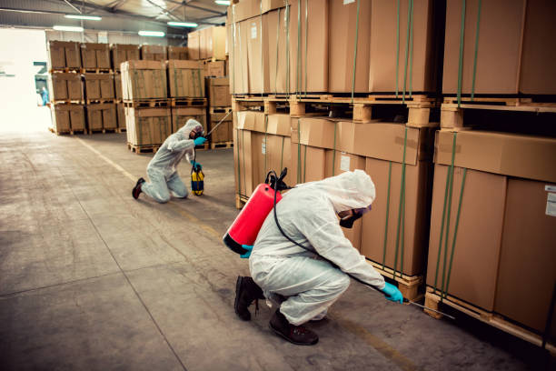 Best Termite Control Services  in Hemlock, MI