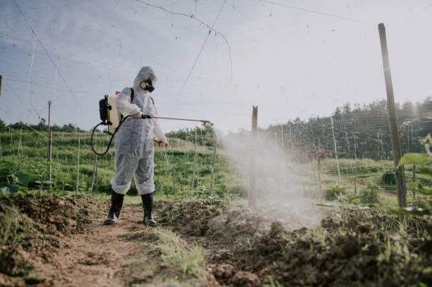 Best Mosquito Control Services  in Hemlock, MI