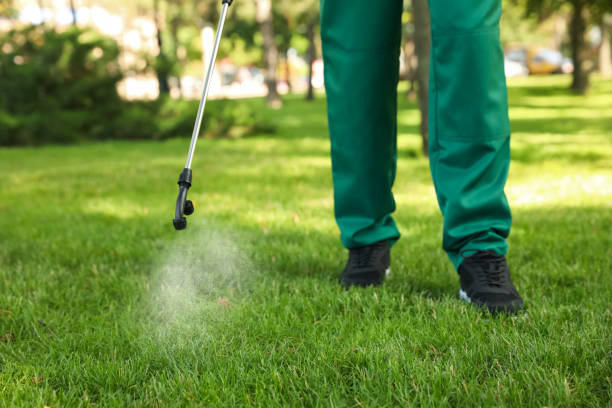 Trusted Hemlock, MI Pest Control Experts