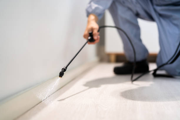 Best Flea Control Services  in Hemlock, MI
