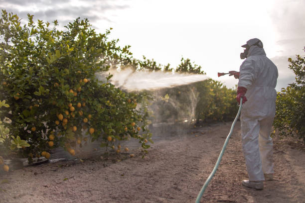 Best Pest Control Treatment  in Hemlock, MI