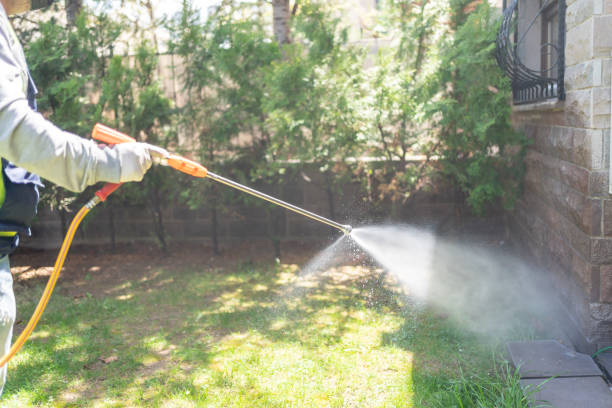 Best Pest Control Near Me  in Hemlock, MI