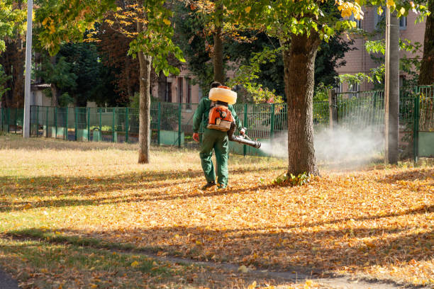 Best Flea Control Services  in Hemlock, MI