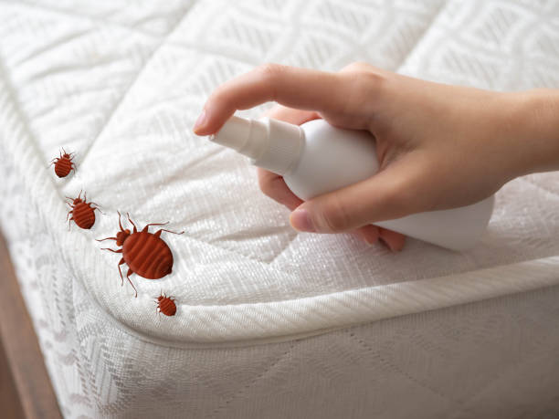Best Local Pest Control Services  in Hemlock, MI