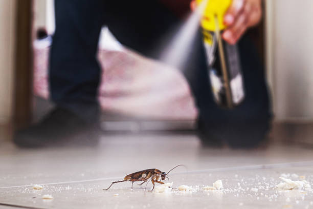 Best Pest Inspection Near Me  in Hemlock, MI