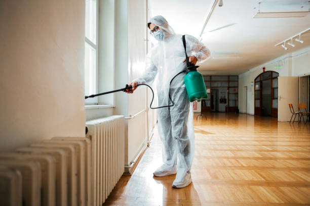 Best Wildlife Control Services  in Hemlock, MI