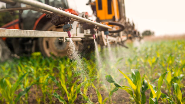 Best Pest Removal Services  in Hemlock, MI